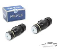 2x MEYLE Braccio Stabilizzatore Anteriore Dacia Logan Renault Sandero