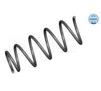 2X MEYLE Molla Della Sospensione Anteriore Compatibile Per Renault Clio II