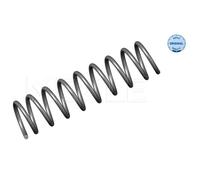 2X MEYLE Molla Della Sospensione Molla A Spirale Posteriore Per BMW 5 Serie E39