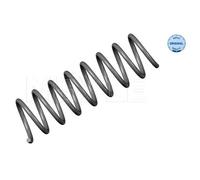 2X MEYLE Molla Della Sospensione Molla Spirale Posteriore Per BMW 5 Serie E60