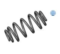 2X MEYLE Molla Della Sospensione Spirale Posteriore Adatta Per Audi A4 Avant