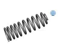 2x MEYLE Molla di Sospensione Molla Spirale Posteriore Adatto A per VW Passat