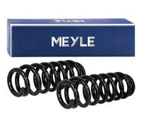 2X MEYLE Molle Ammortizzatori Anteriori Per Renault Kangoo KC0/1 FC0/1