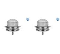 2x MEYLE Paracolpi Sospensione Posteriore per Smart Fortwo Cabrio 450