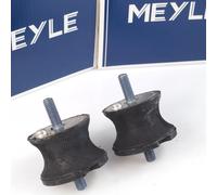 2x Meyle Supporto Corpo Dell'Asse Sinistra Destra per BMW 1 / 3/5/6/7 Z3 Z4