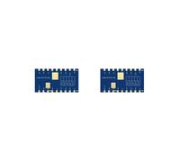 2X Modulo LoRa Ad Alta Potenza LoRa1121F33-1G9 2W Compatibile con LR112 Comunicazione SPI Sub-GHz S-Band