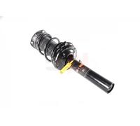 2x Molla sospensione Assale anteriore Molla ad elica GH-359966C02 GH per SKODA
