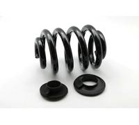 2x Molla sospensione Assale posteriore ZCJ6783X JAPKO per VW MULTIVAN T5