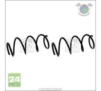 2x Molle ammortizzatori Anteriore per RENAULT MODUS CLIO #9c