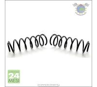 2x molle ammortizzatori JParts Posteriore per FIAT ULYSSE LANCIA ZETA duv