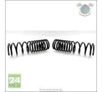 2x molle ammortizzatori JParts Posteriore per NISSAN PRIMERA dpg
