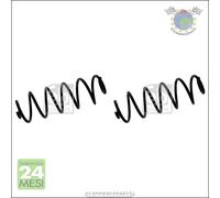 2x Molle ammortizzatori Posteriore per PEUGEOT 207/207+ #95