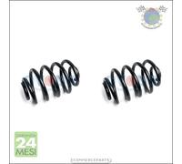 2x molle ammortizzatori yd Posteriore per RENAULT THALIA CLIO
