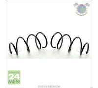 2x molle molla ammortizzatori Japko Anteriore per FIAT SEICENTO #ch