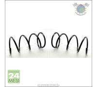 2x molle molla ammortizzatori Japko Anteriore per MAZDA 626
