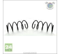 2x molle molla ammortizzatori Japko Anteriore per MERCEDES CLASSE A 190 170 160