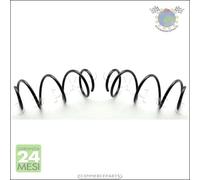 2x molle molla ammortizzatori Japko Anteriore per RENAULT MODUS CLIO #tc
