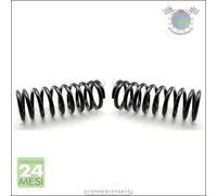 2x molle molla ammortizzatori Japko Posteriore per MERCEDES CLASSE S 280(126 #2p