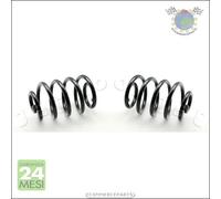 2x molle molla ammortizzatori Japko Posteriore per RENAULT THALIA CLIO