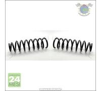 2x molle molla ammortizzatori Japko Posteriore per VW TOUAREG