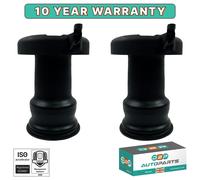 2x Molle Sacche Cuscinetto Sospensione Pneumatica Posteriore Fiat Ducato 2006