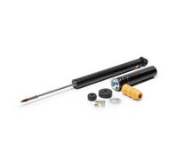 2x MONROE Ammortizzatore Posteriore A pressione del gas Ammortizzatori 43138