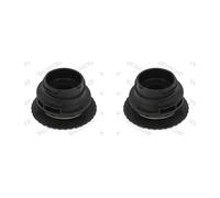 2x MONROE Cuscinetto Forcellone per Renault Master III Scatola Fv 2.3 DCI 125