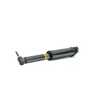 2x MONROE G1182A Ammortizzatore A pressione del gas Ammortizzatori