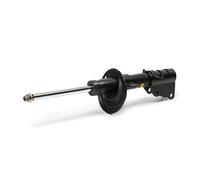 2x MONROE G8173 Ammortizzatore A pressione del gas Ammortizzatori