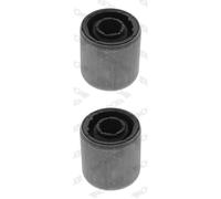 2x MONROE Supporto Braccio Oscillante Manubrio Lati Posteriore Frontale per Mini