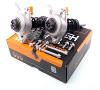 2x Montante Completo a Gas Anteriore per Audi Q5 2008-2017 3.0 TDI