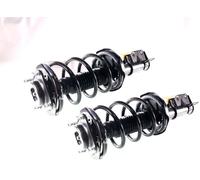 2x Montante Completo a Gas Anteriore per Mazda Premacy (CP) 1999-2001 2.0TD