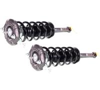 2x Montanti Completi Posteriori a gas per Nissan Maxima 2000-2004