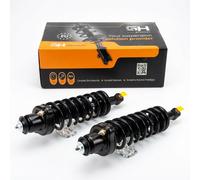 2x GH Coilover Asse Posteriore Sinistro Destro per Mitsubishi Outlander I Cu _W