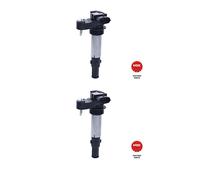 NGK 48174 - Bobina D'Accensione