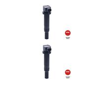 Modulo Accensione Bobina Per Kia Carnival 2.7I/Magentis 2.7I/Hyundai Santa Fe