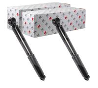 2x NK Ammortizzatore a Gas Posteriore Adatto per Seat Inca VW Caddy Coilover 634