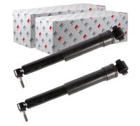 2X NK Ammortizzatore a Gas Posteriore Sinistra + Destra Adatto per Renault Grand