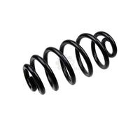 2X NK Molla Della Sospensione Molla Spirale Asse Posteriore Per Audi A4 8E2 B6