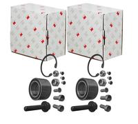 2X NK Set Cuscinetti per Ruote Anteriore SX Dx Adatti VW California