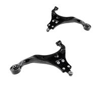 2x NTY Braccio Oscillante Sospensione Ruota Frontale SX Destra per Tucson Jm 2.0