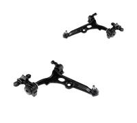 2x NTY Braccio Oscillante Sospensione Ruota Frontale SX Dx per Citroën Jumpy U6U