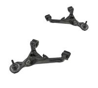 2x NTY Braccio Oscillante Sospensione Ruota SX Dx per Land Rover Discovery IV