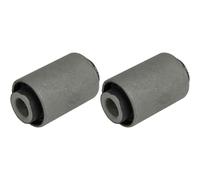 2x NTY Supporto Braccio Oscillante Posteriore per Ford Focus, II Da _ Hcp Dp 1.6