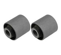 2x NTY Supporto Braccio Oscillante Posteriore per Ford Focus, II Da _ Hcp Dp 1.6