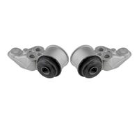 2X NTY Supporto Corpo Assale Posteriore Sinistro Destro Per Audi A6 Avant 4F5 C6