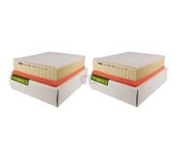 2X Original MANN-FILTER Filtro Dell'Aria C 29 198/1