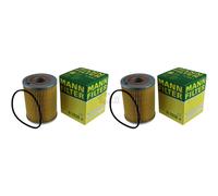 2X Original MANN-FILTER Filtro Olio H 1038 X Oil Filter