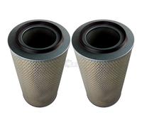 2X Original MANN Filtro Dell'Aria C 24 650/1