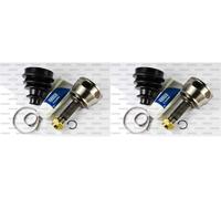 2X PASCAL Set Di Giunti Di Trasmissione Per Fiat Doblo 119 223